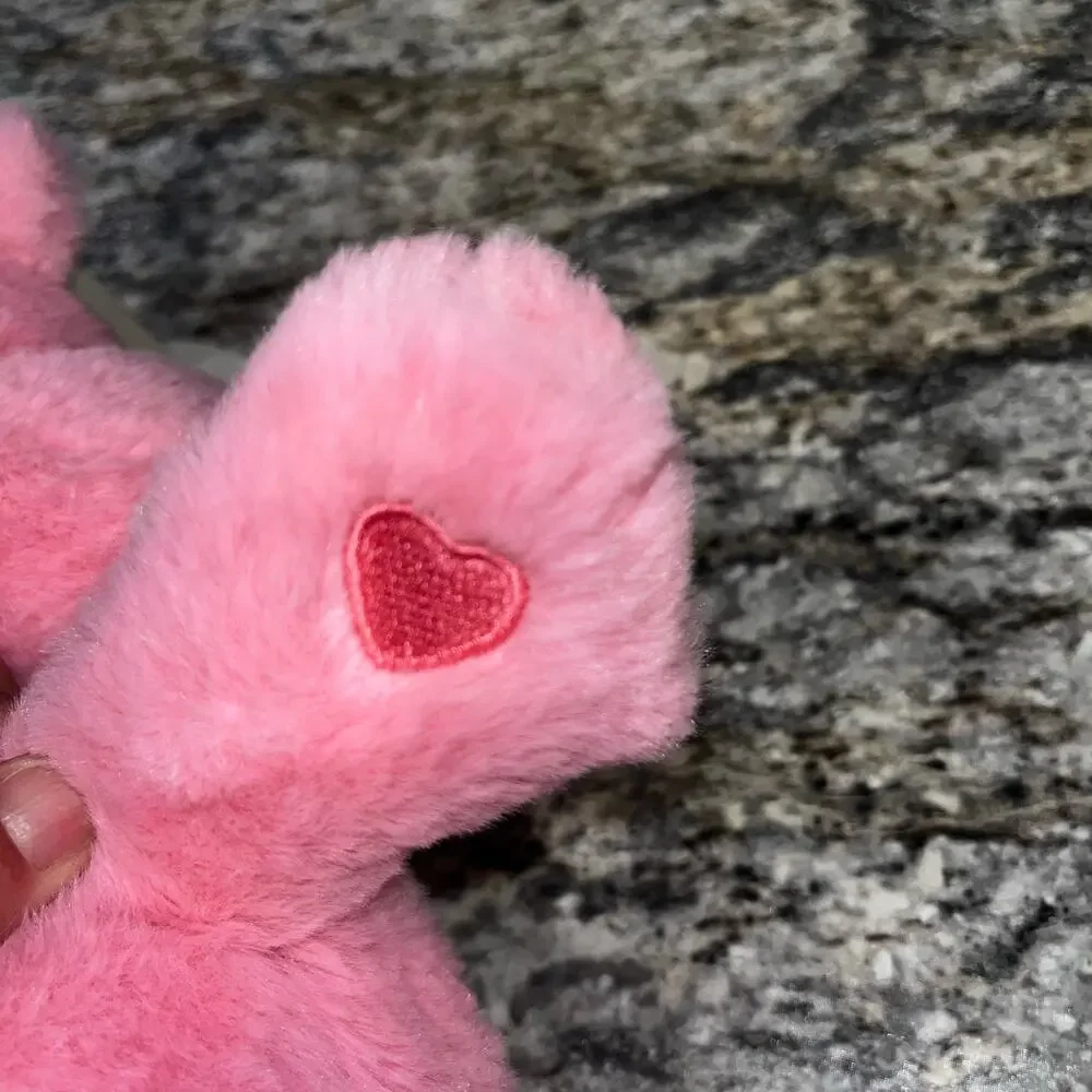 Care Bears Hopeful Heart Bear Pink 14
